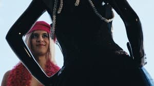 Cistema — foto 1