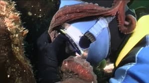 Episodio 8