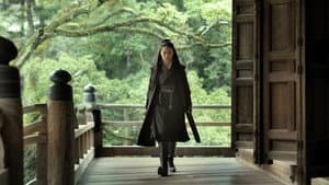刺客聶隱娘 — foto 10