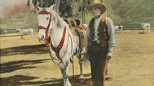 The Fighting Buckaroo — foto 1