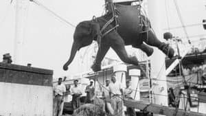 La Tragique Histoire de Fritz l'éléphant — foto 2