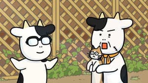 Episodio 27