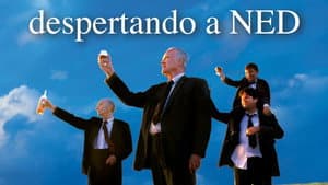 El divino Ned — foto 10