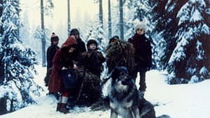 Jelenko — foto 1