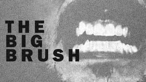 The Big Brush — foto 1