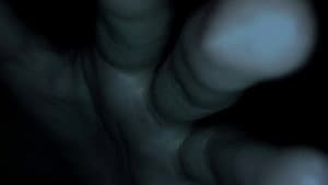 Womb — foto 2