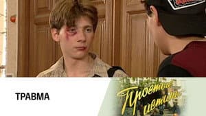 Episodio 240
