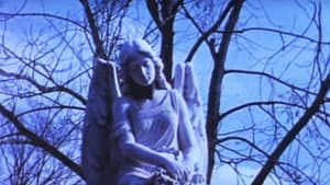 Angel — foto 2