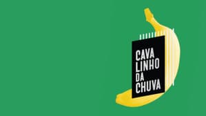 Cavalinho da Chuva — foto 2