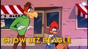 Show Biz Beagle — foto 1