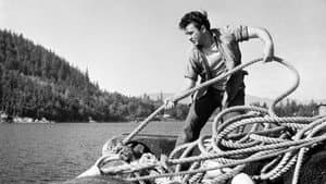 Herring Hunt — foto 1