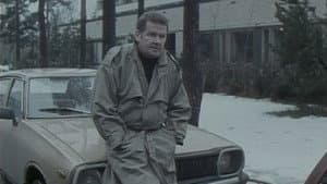 Isku vasten kasvoja — foto 1
