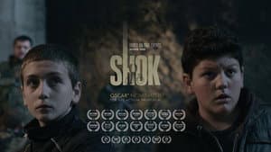 Shok — foto 2