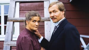 Niskavuoren nuori emäntä — foto 1