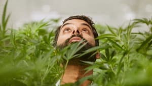 Weediquette — foto 1