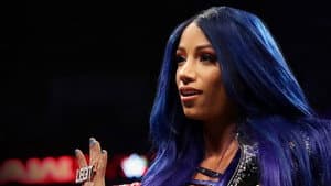 WWE Chronicle — foto 1