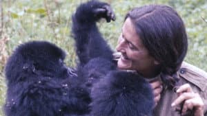 Dian Fossey: Ihr Leben für die Gorillas — foto 2