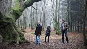 L'Inconnu de Brocéliande — foto 7