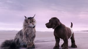 Perro y Gata — foto 7