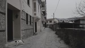 ΤΟ ΤΑΞΑΚΙ — foto 3
