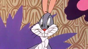 Wackiki Wabbit — foto 3
