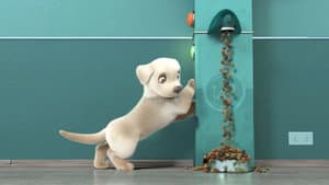 Pip — foto 11