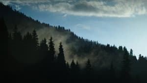 გულისხმა — foto 1