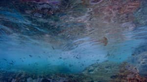 Life in the Blue — foto 1