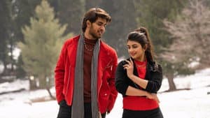 పెళ్లి సందD — foto 5