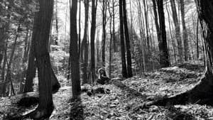 the creek — foto 4