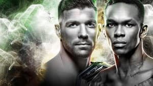 UFC 298: Volkanovski vs. Topuria — foto 7