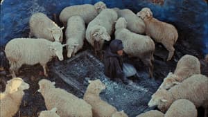 This Is Not a Burial, It's a Resurrection — foto 1