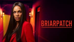Briarpatch — foto 8