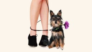 Gabe the Cupid Dog — foto 3