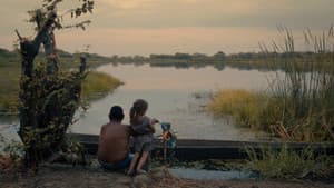 Audio y el Caimán — foto 1