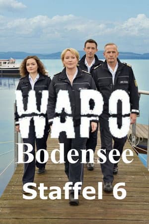Temporada 6