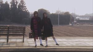 花とアリス — foto 6