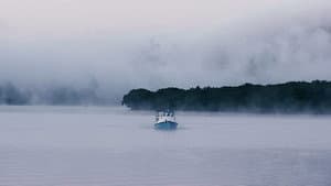 The Screaming Silent — foto 1