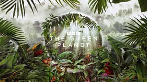 Planeta Verde — foto 11