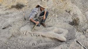 Valley of Bones — foto 1