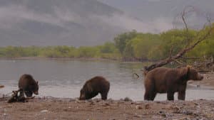 Wild Edens: Russia — foto 1