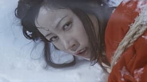発禁本「美人乱舞」より　責める — foto 5