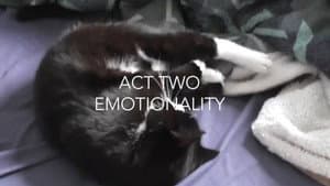 ISOLATION IN THE SEX OF THE BODIES — foto 3