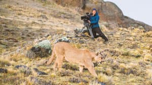 Animales de cerca con Bertie Gregory — foto 3