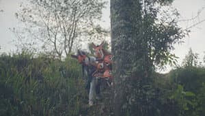 Los zorritos — foto 1