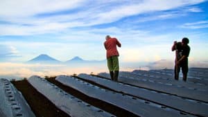 Negeri di Bawah Kabut — foto 1