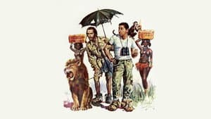 Riusciranno i nostri eroi a ritrovare l'amico misteriosamente scomparso in Africa? — foto 3