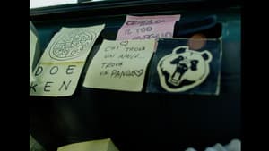 Il Panda Minore — foto 2