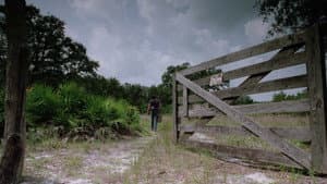The Enchanted — foto 1