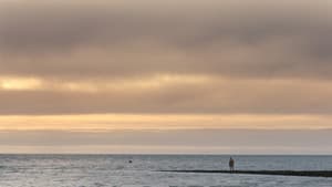 Sharks in Colwyn Bay — foto 1